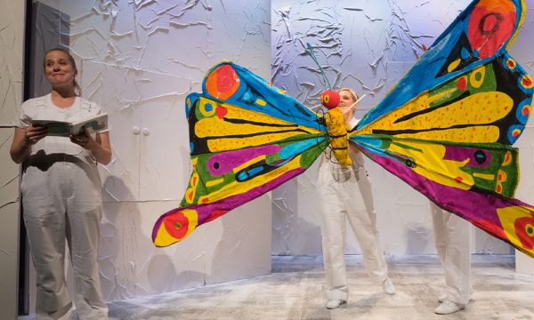 Butterfly-1